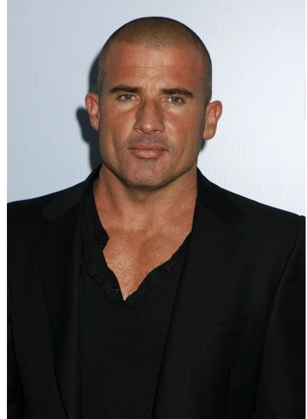 Dominic Purcell Actor.